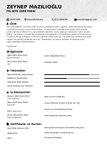 Felsefe Öğretmeni CV Örnekleri cv indir